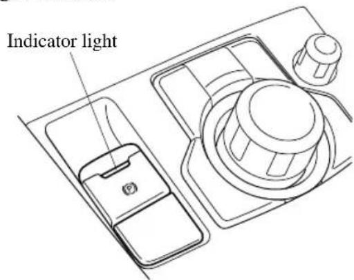 Indicator light