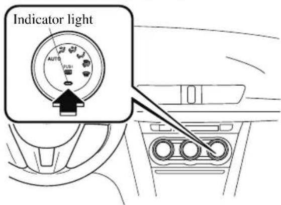 Indicator light AUTO FUSH
