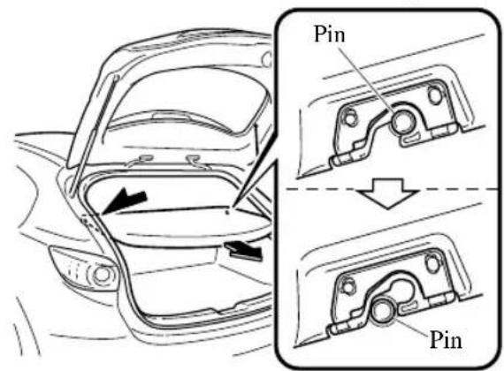 Pin Pin