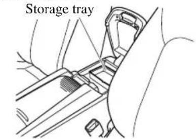 Storage tray