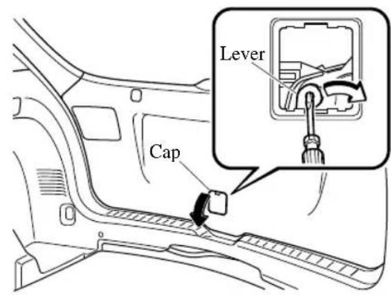 Lever Cap