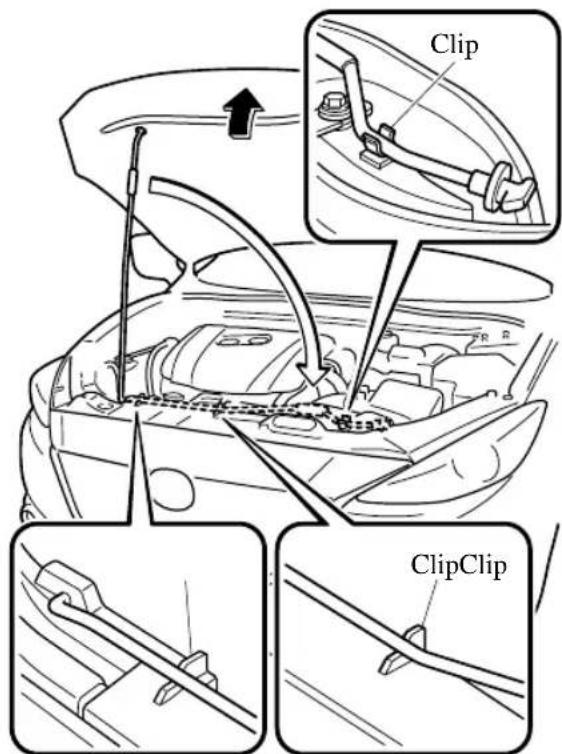 Clip ClipClip