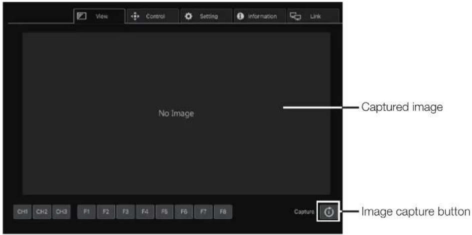 View Control Setting Information Link No Image Captured image CH1 CH2 CH3 F1 F2 F3 F4 F5 F6 F7 F8 Capture Image capture button