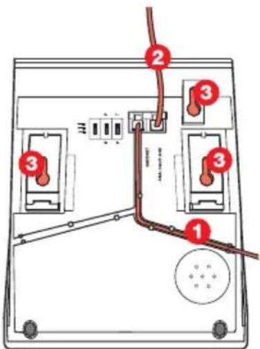 Diagram of a device rear panel with numbered components and wiring connections