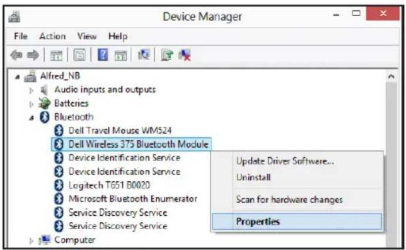 Device Manager File Action View Help Alfred_NB Audio inputs and outputs Batteries Bluetooth Dell Travel Mouse WM524 Dell Wireless 375 Bluetooth Module Device Identification Service Device Identification Service Logitech T651 B0020 Microsoft Bluetooth Enumerator Service Discovery Service Service Discovery Service Computer Update Driver Software... Uninstall Scan for hardware changes Properties