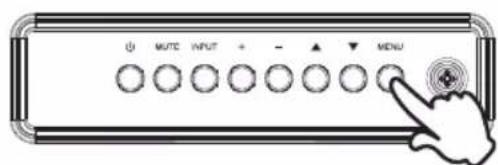 MUTE INPUT + - ▲ MENU