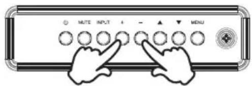 MUTE INPUT MENU