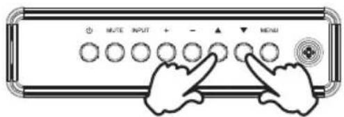 MUTE INPUT + - ▲ MENU