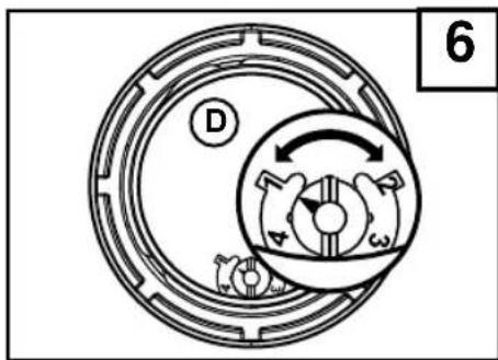 6 D