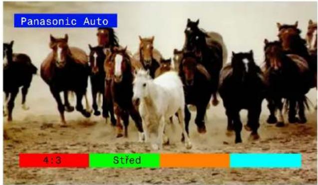 Panasonic Auto 4:3 Střed