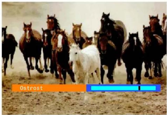 Ostrost