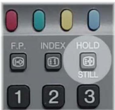 F.P. INDEX HOLD STILL 1 2 3