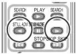 SEARCH PLAY SEARCH STILL ADV STRIPALISE STOPSKIP SKIP