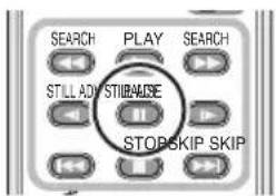 SEARCH PLAY SEARCH STILL ADY STRIPALISE STOPSKIP SKIP