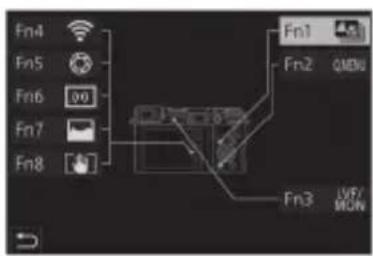 Fn4 Fn5 Fn6 Fn7 Fn8 Fn1 Fn2 QMBU Fn3 LIF/MON