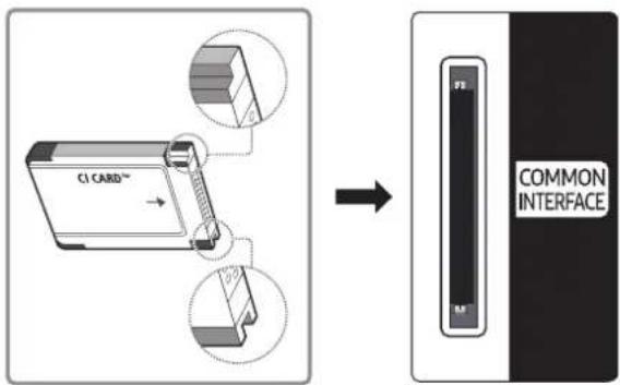 C1 CARD™ → COMMON INTERFACE
