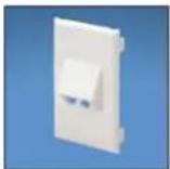Panduit STS2 - Pan-Way® Classic Series Snap-On Faceplates for Use with Panduit® Mini-Com® Modules - 3