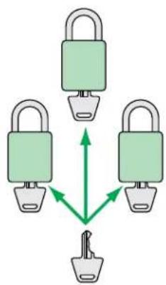 Panduit STS2 - Custom Lock Options - 1