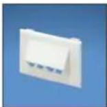 Panduit STS2 - Pan-Way® Classic Series Snap-On Faceplates for Use with Panduit® Mini-Com® Modules - 2