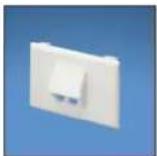 Panduit STS2 - Pan-Way® Classic Series Snap-On Faceplates for Use with Panduit® Mini-Com® Modules - 1