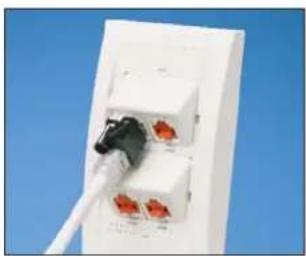 Panduit STS2 - RJ45 Plug Lock-In Device - 2