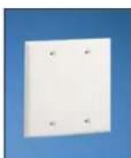 Panduit STS2 - Pan-Way® Classic Series Faceplates for Power and Communication Applications - 8