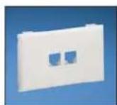 Panduit STS2 - Panduit® NetKey® Snap-On Flush Universal Keystone Faceplates - 1
