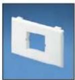 Panduit STS2 - Pan-Way® Classic Series Snap-On Faceplates for Use with Panduit® Mini-Com® Inserts - 1