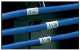 Panduit STS2 - Laser/Ink Jet Non-Laminated Labels - 1