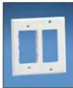 Panduit STS2 - Pan-Way® Classic Series Faceplates for Power and Communication Applications - 2
