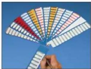 Panduit STS2 - Write-On Labels on Cards - 1