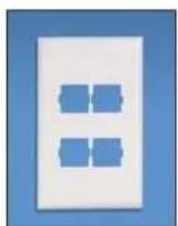 Panduit STS2 - Pan-Way® Snap-On Faceplates for Nordx/CDT\* Communication Modules - 4