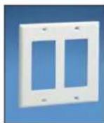 Panduit STS2 - Pan-Way® Classic Series Faceplates for Power and Communication Applications - 6