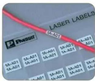 LASER LABELS 1A-A01 1A-A01 1A-A01 1A-A01 1A-A01 1A-A01 1A-A01 1A-A01 1A-A01 1A-A01 1A-A01 1A-A01 1A-A01 1A-A01 1A-A01 1A-A01 1A-A01 1A-01 1A-01 1A-01 1A-01 1A-01 1A-01 1A-01 1A-01 1A-01 1A-01 1A-01 1A-01 1A-01 1A-01 1A-01 1A-01 1A-01 PANDUIT