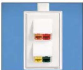 Panduit STS2 - Component Labels for Pan-Way® Classic Series Snap-On Faceplates for Use with Panduit® Mini-Com® Modules and Inserts - 1