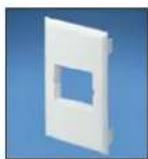 Panduit STS2 - Pan-Way® Classic Series Snap-On Faceplates for Use with Panduit® Mini-Com® Inserts - 3