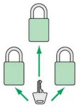 Panduit STS2 - Custom Lock Options - 2