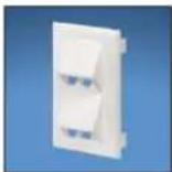 Panduit STS2 - Pan-Way® Classic Series Snap-On Faceplates for Use with Panduit® Mini-Com® Modules - 4