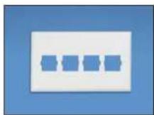 Panduit STS2 - Pan-Way® Snap-On Faceplates for Nordx/CDT\* Communication Modules - 2