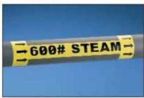 600# STEAM