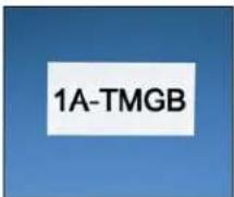 1A-TMGB