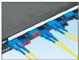Panduit STS2 - SC Adapter Blockout Device - 2