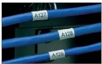 Panduit STS2 - Thermal Transfer Non-Laminated Labels - 1