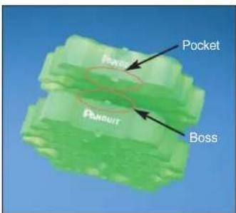 Pangle Pangle Boss