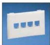 Panduit STS2 - Panduit® NetKey® Snap-On Flush Universal Keystone Faceplates - 2