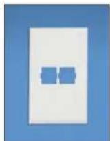 Panduit STS2 - Pan-Way® Snap-On Faceplates for Nordx/CDT\* Communication Modules - 3