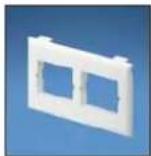 Panduit STS2 - Pan-Way® Classic Series Snap-On Faceplates for Use with Panduit® Mini-Com® Inserts - 2