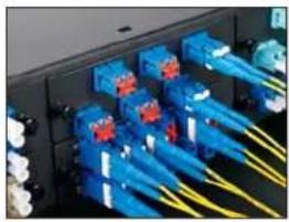 Panduit STS2 - LC Duplex Adapter Blockout Device - 2
