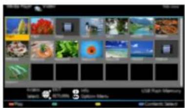 PANASONIC Viera TX-55CXM710 - (Příklad) - 1