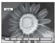 PANASONIC Viera TX-20LA70P - Auto - 2